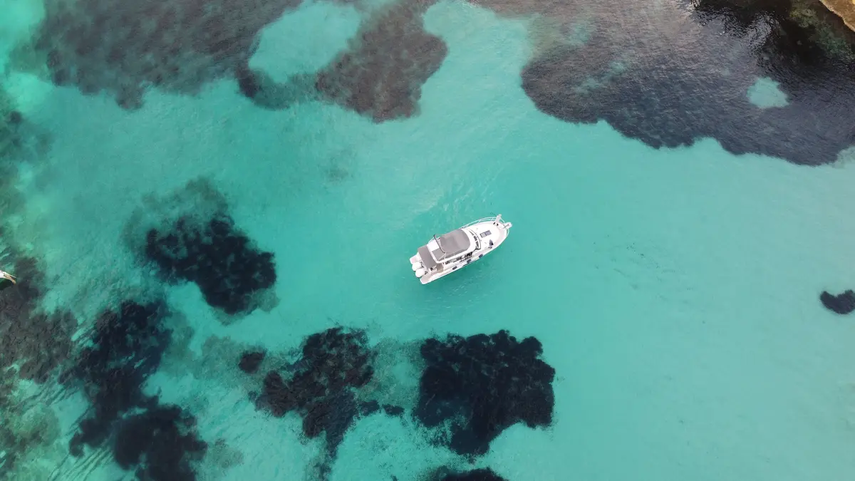 Can You Anchor Here? What Yacht Owners in Mallorca Need to Know About Posidonia in 2026